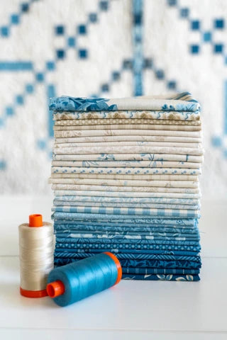Winter Lace Block of the Month Laundry Basket Quilts Edyta Sitar