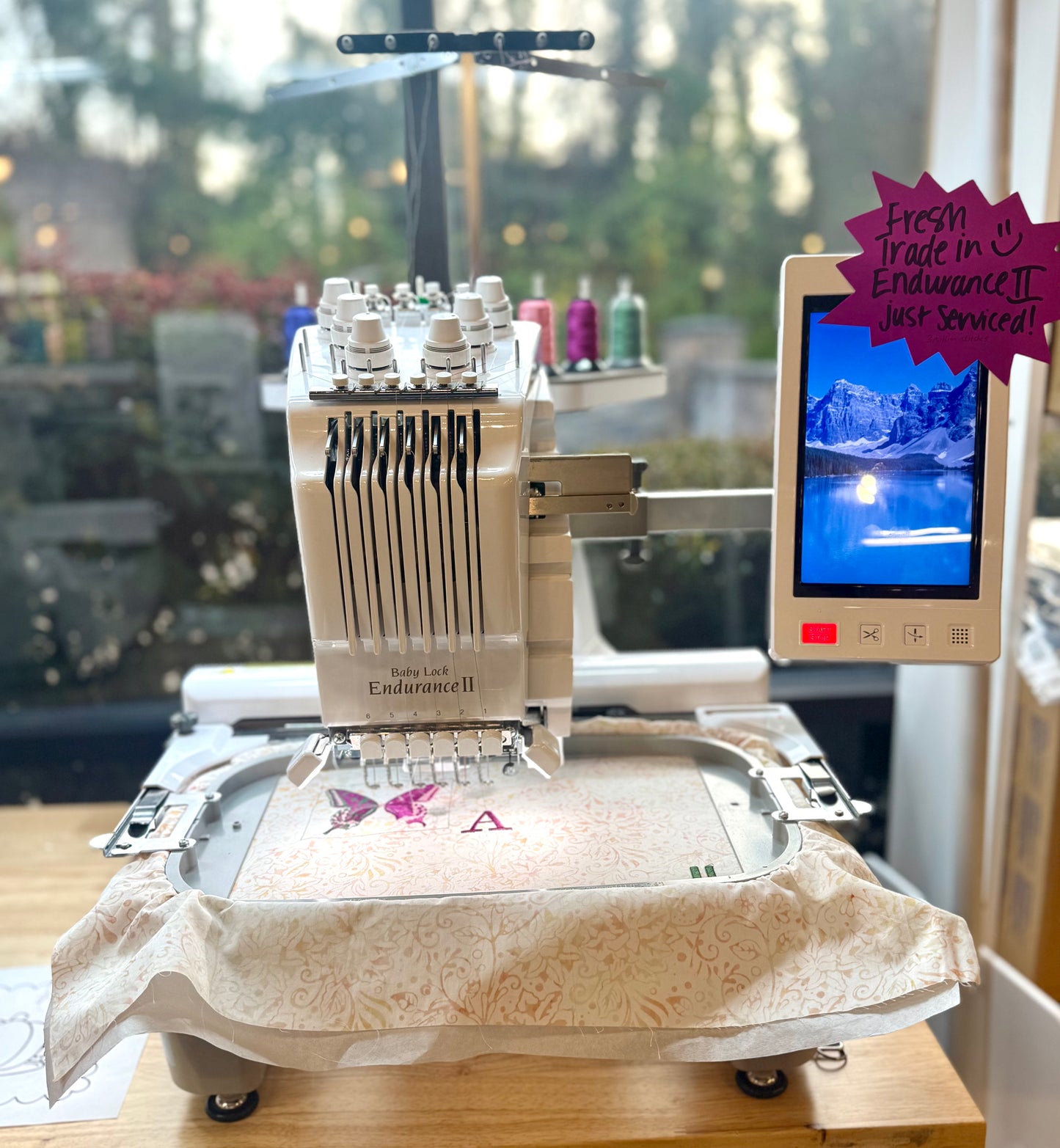 Previously Loved Baby Lock Endurance II (Six Needle)