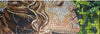 Janome Artistic Digitzer Version 2.0
